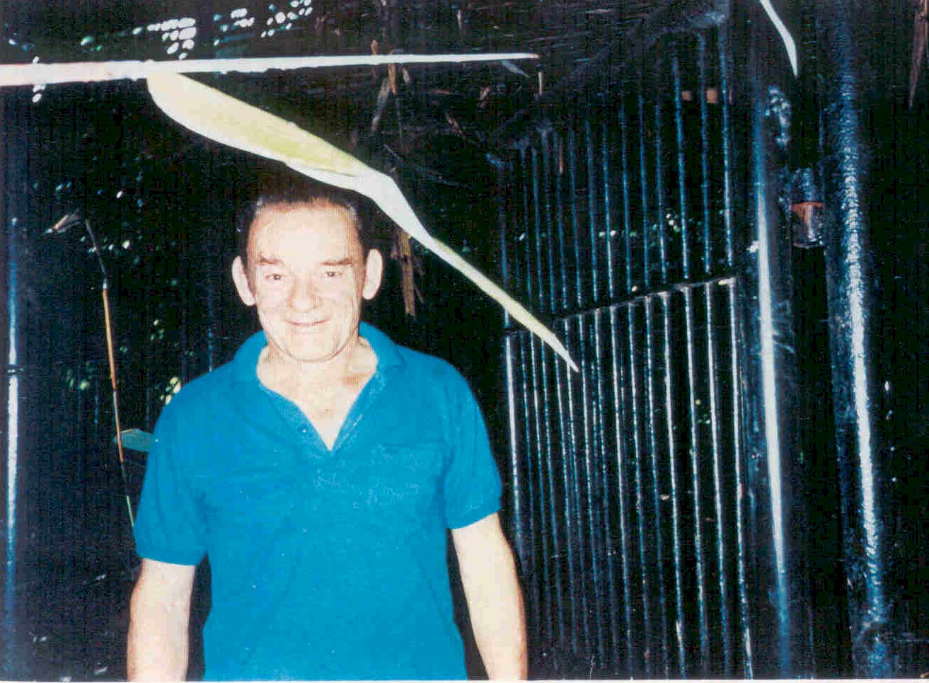 dietrich_1.jpg (374835 bytes)