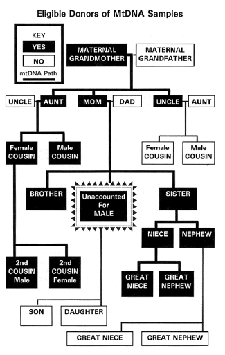 dna%20chart.gif (30811 bytes)